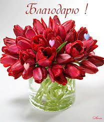 ÐаÑÑинки по запÑоÑÑ Ð±Ð»Ð°Ð³Ð¾Ð´Ð°ÑÑ