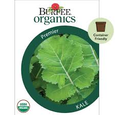 bur organic premier kale vegetable seed 1 pack brown