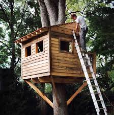 Before Building A Treehouse