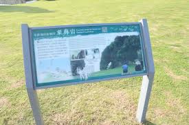 「綠島大象」的圖片搜尋結果
