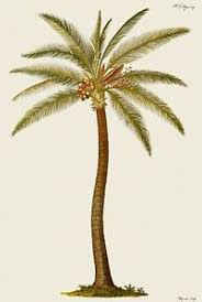Details About Coconut Palm Tree Counted Cross Stitch Pattern 282 Nature Flowers Floral Chart