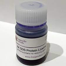 6x sds protein loading buffer