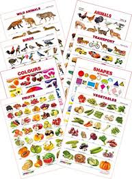 Rhea Jewellery Kids 1st Learning Educational Charts Small Set 4 Wild Animals Domestic Animals Birds Colours Shapes Transport Fruits