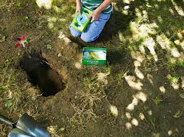 how to bury a pet in the yard pets on