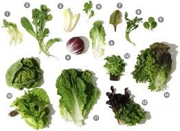 14 Different Varieties And Types Of Lettuce Real Food
