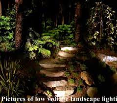 Low Voltage Landscape Lighting Creative Land Design Md
