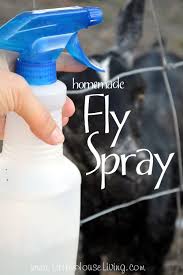 fly spray made with essential oils