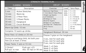 linear periodized training log never