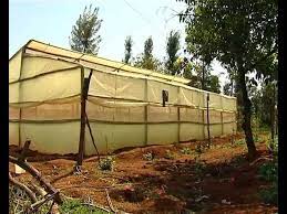 low cost greenhouse farming you