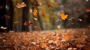 fall background falling leaves free