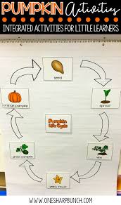 Pumpkin Life Cycle Activities One Sharp Bunch
