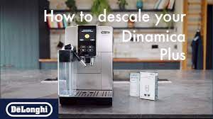 how to descale your dinamica plus you