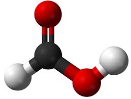 Difference Between Formic Acid And
