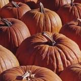 are-pumpkins-only-for-halloween