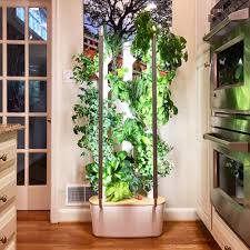 hydroponic indoor tower garden