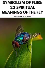 symbolism of flies 22 spiritual