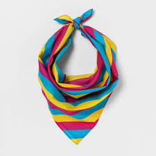The pansexual pride flag emerged on the internet around 2010 and has become popular since. Pride Gender Inclusive Adult Pansexual Flag Bandana Target