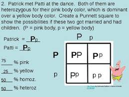 This resource is only available to logged in users. Punnett Square Problems Sponge Bob Powerpoint By Ez Science Tpt