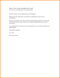 Resume Short Brief Conciseer Letter Examples For Resumes