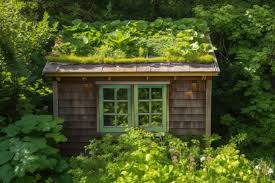 Ways To Transform Your Garden Shed This