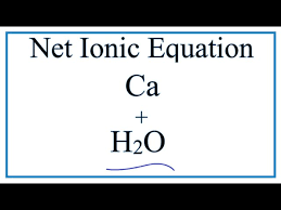 Net Ionic Equation For Ca H2o Ca Oh