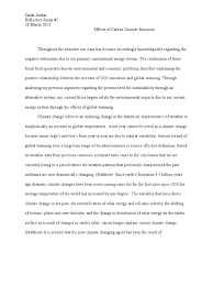 reflective essay climate change global warming 