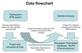 Logistics Of Data Collection Flow Chart Of Merging Process