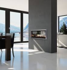 Escea Dx1000 Double Sided Gas Fireplace