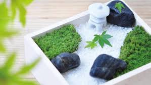 Create Your Own Mini Moss Garden At