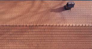 Здравейте , предстои ми направата на покрив и се бях спрял на керемиди тондах винеам (снимката в дясно) ,но днес видях в един склад керемиди младост континентал (снимката в дясно). Mladost
