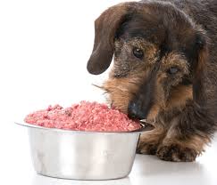 Puppy Tales Blog Nutrition Canadian Canine Lifetime Study
