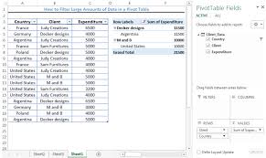 data in a pivot table