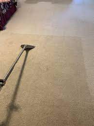 professional carpet cleaning image