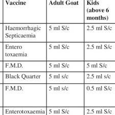 Vaccination Schedule For Goat Download Table