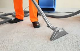 3 carpet maintenance tips you should