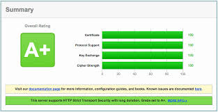 howto a with all 100 s on ssl labs