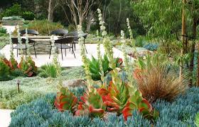Ideas For Your Very Own Succulent Garden