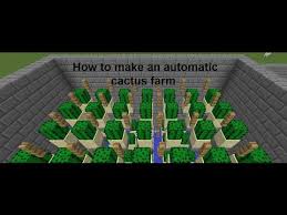 Cactus farms are useful for acquiring green dye by smelting the cactus blocks. How To Make An Automatic Cactus Farm On Minecraft Youtube