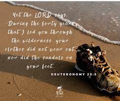 JIL Negros Oriental - VERSE OF THE NIGHT Deuteronomy 29:5 &quot;Yet the Lord  says. During the forty year that I led you through the wilderness, your  clothes did not wear out nor