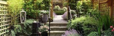 6 Perfect Trees For Small Gardens