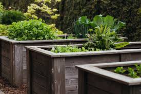Raised Garden Bed Images Browse 9 101