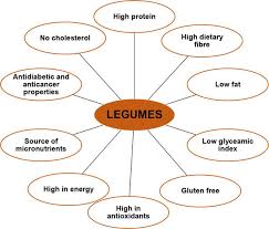 the role of legumes in human nutrition