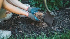 How To Landscape With Mulch Lowe S