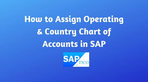 Operating And Country Specific Chart Of Accounts Assignment To Company Code In Sap