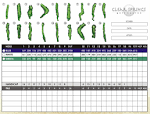 Course Details - Clear Springs Golf Course
