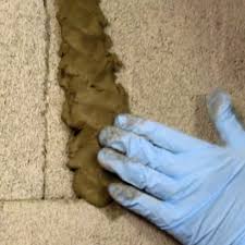 Damp Wet Basement Causes And Solutions