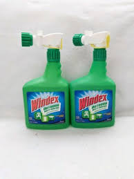 Windex Outdoor Multi Surface Glass