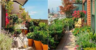 top 30 balcony garden ideas