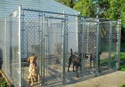 chain link dog kennel enclosure fencing