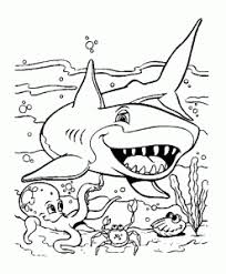Sharks are a particular type of fish that have a very precise definition that separates them from other the great white shark and a few others, though, maintain a higher internal body temperature. Sharks Free Printable Coloring Pages For Kids